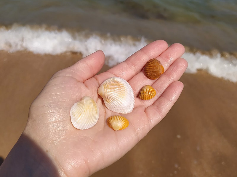 Мыс Зюк  фото 