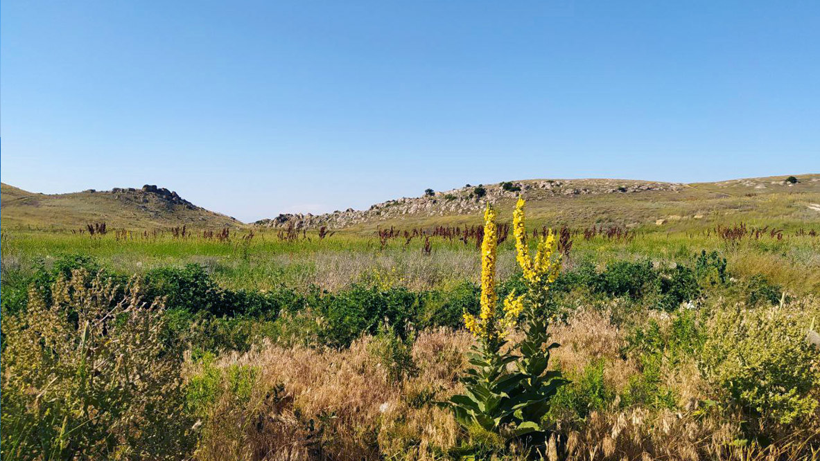 Караларский природный парк фото