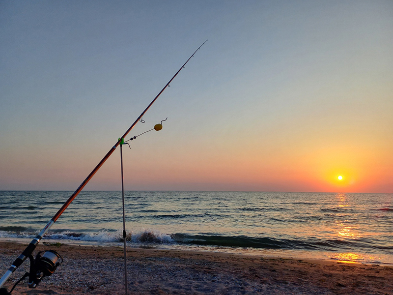 Отдых на Азовском море Крым