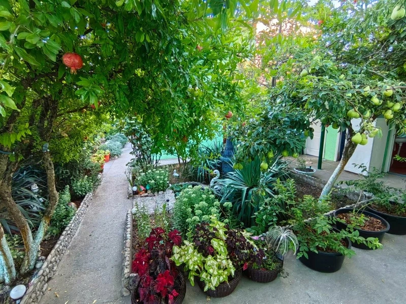 Фото гостей на отдыхе в Курортном